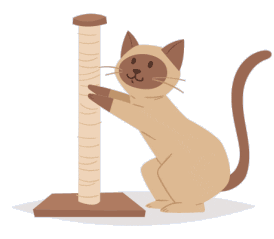 Cat with scratch pole