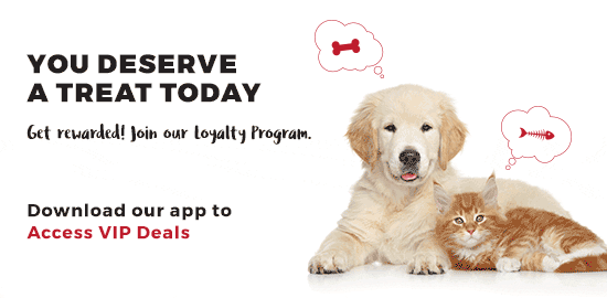 Download our app image