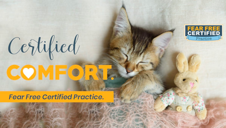 Certified comfort professional