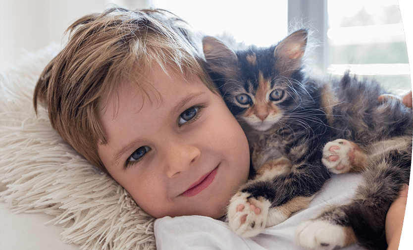 kid with kitten