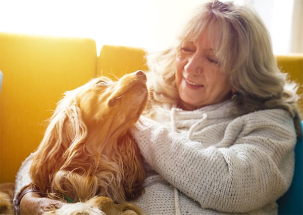 Older woman holding her pet dog golden retriever