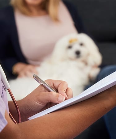 Veterinarian performing a home wellness visit for pet dog
